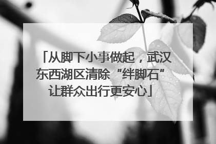 从脚下小事做起，武汉东西湖区清除“绊脚石”让群众出行更安心