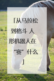 从马拉松到格斗 人形机器人在“赛”什么