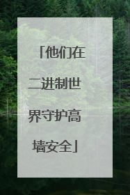 他们在二进制世界守护高墙安全