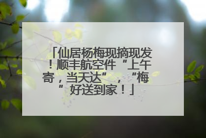 仙居杨梅现摘现发！顺丰航空件“上午寄，当天达”，“梅”好送到家！