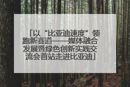 以“比亚迪速度”领跑新赛道——媒体融合发展暨绿色创新实践交流会首站走进比亚迪