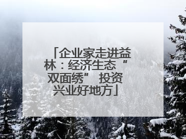 企业家走进益林：经济生态“双面绣” 投资兴业好地方