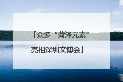 众多“菏泽元素”亮相深圳文博会
