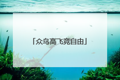 众鸟高飞竞自由