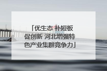 优生态 补短板 促创新 河北增强特色产业集群竞争力