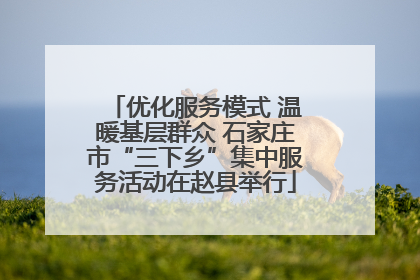 优化服务模式 温暖基层群众 石家庄市“三下乡”集中服务活动在赵县举行