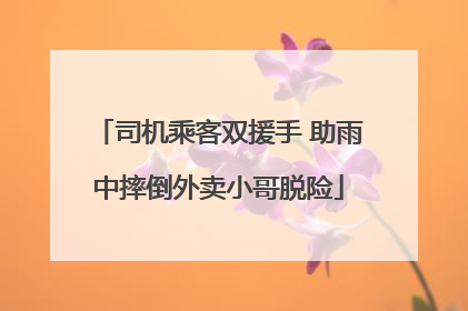 司机乘客双援手 助雨中摔倒外卖小哥脱险
