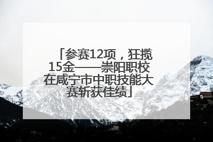 参赛12项，狂揽15金——崇阳职校在咸宁市中职技能大赛斩获佳绩