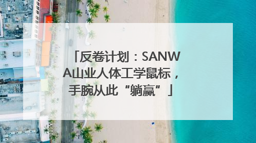 反卷计划：SANWA山业人体工学鼠标，手腕从此“躺赢”