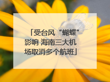 受台风“蝴蝶”影响 海南三大机场取消多个航班