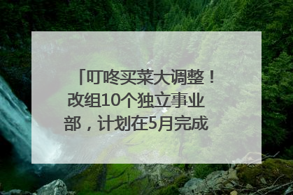 叮咚买菜大调整！改组10个独立事业部，计划在5月完成App端全面改版