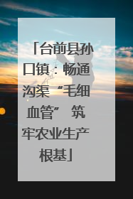 台前县孙口镇：畅通沟渠“毛细血管” 筑牢农业生产根基