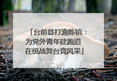 台前县打渔陈镇：为党外青年建跑道 在统战舞台竞风采