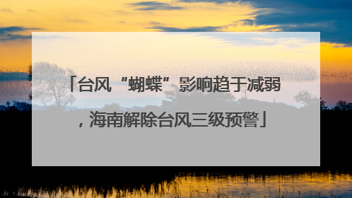 台风“蝴蝶”影响趋于减弱，海南解除台风三级预警