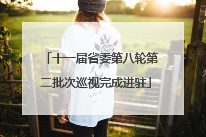 十一届省委第八轮第二批次巡视完成进驻