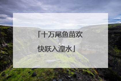 十万尾鱼苗欢快跃入湟水