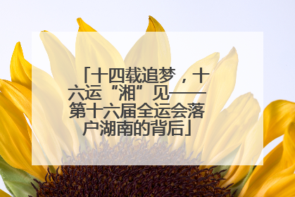 十四载追梦，十六运“湘”见——第十六届全运会落户湖南的背后