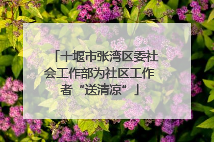 十堰市张湾区委社会工作部为社区工作者“送清凉”