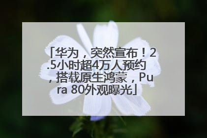 华为，突然宣布！2.5小时超4万人预约，搭载原生鸿蒙，Pura 80外观曝光