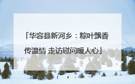 华容县新河乡：粽叶飘香传温情 走访慰问暖人心