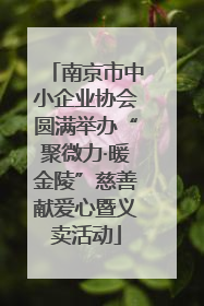 南京市中小企业协会圆满举办“聚微力·暖金陵”慈善献爱心暨义卖活动