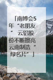 南博会5年“老朋友” 云铝股份不断擦亮云南制造“绿名片”