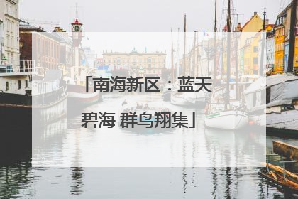 南海新区：蓝天碧海 群鸟翔集