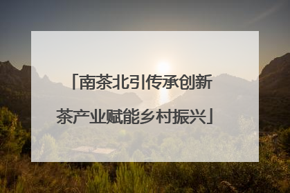 南茶北引传承创新 茶产业赋能乡村振兴