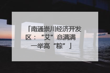 南通崇川经济开发区：“艾”意满满 一举高“粽”