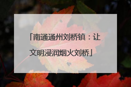 南通通州刘桥镇：让文明浸润烟火刘桥