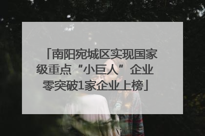 南阳宛城区实现国家级重点“小巨人”企业零突破1家企业上榜