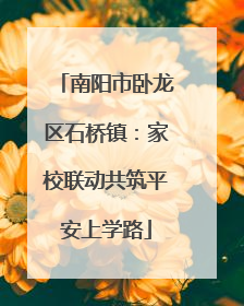 南阳市卧龙区石桥镇：家校联动共筑平安上学路