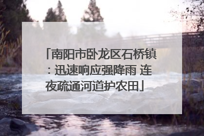 南阳市卧龙区石桥镇：迅速响应强降雨 连夜疏通河道护农田