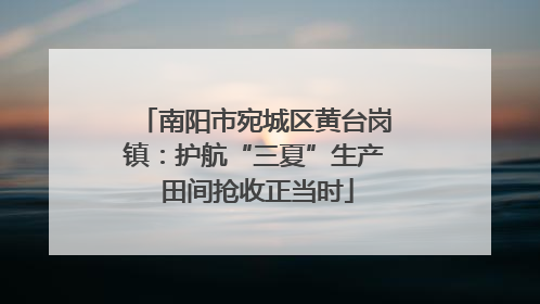 南阳市宛城区黄台岗镇：护航“三夏”生产 田间抢收正当时