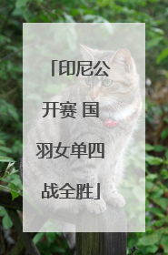 印尼公开赛 国羽女单四战全胜