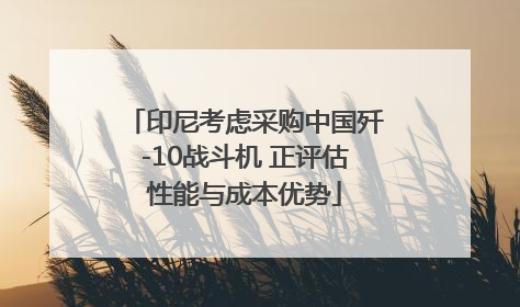 印尼考虑采购中国歼-10战斗机 正评估性能与成本优势