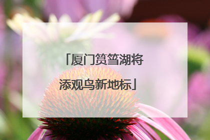 厦门筼筜湖将添观鸟新地标