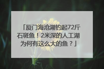 厦门海沧湖钓起72斤石斑鱼！2米深的人工湖为何有这么大的鱼？