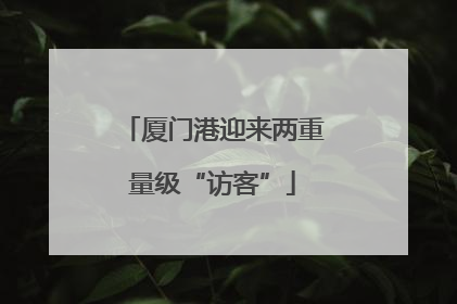 厦门港迎来两重量级“访客”