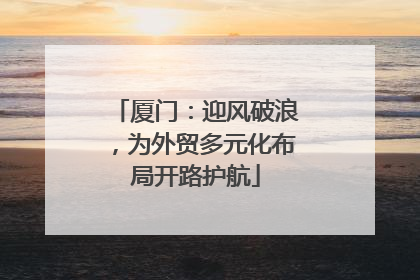 厦门：迎风破浪，为外贸多元化布局开路护航