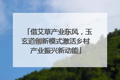 借艾草产业东风，玉玄道创新模式激活乡村产业振兴新动能