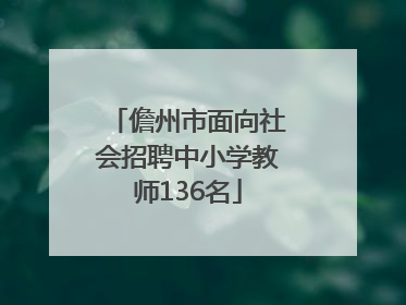 儋州市面向社会招聘中小学教师136名