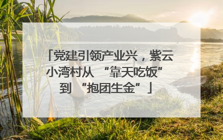 党建引领产业兴，紫云小湾村从 “靠天吃饭” 到 “抱团生金”