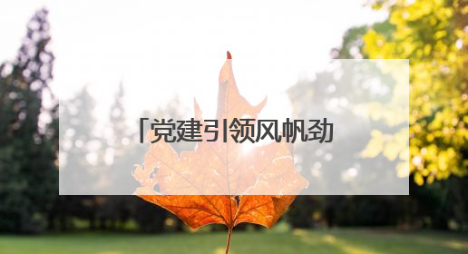 党建引领风帆劲 金融为民步履坚——齐鲁银行高质量发展新实践