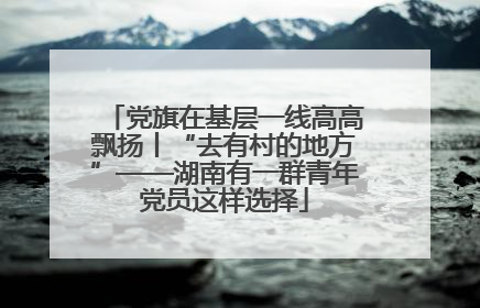 党旗在基层一线高高飘扬丨“去有村的地方”——湖南有一群青年党员这样选择