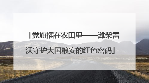 党旗插在农田里——潍柴雷沃守护大国粮安的红色密码