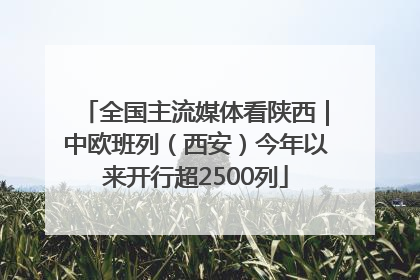 全国主流媒体看陕西｜中欧班列（西安）今年以来开行超2500列