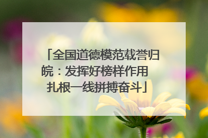 全国道德模范载誉归皖：发挥好榜样作用 扎根一线拼搏奋斗