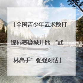 全国青少年武术散打锦标赛鹿城开擂 “武林高手”强强对话