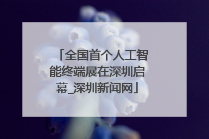 全国首个人工智能终端展在深圳启幕_深圳新闻网